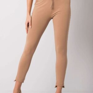 Spodnie Dresowe Model RV-DR-6002.14X Camel - BFG